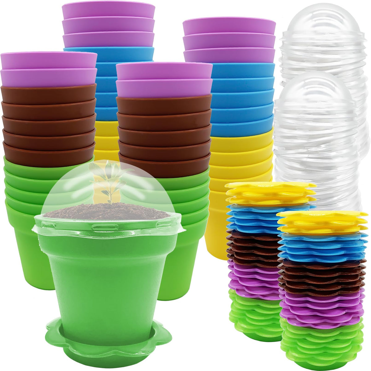 Purple Star 1N cupcake pots colorful set for seed starting and transplanting