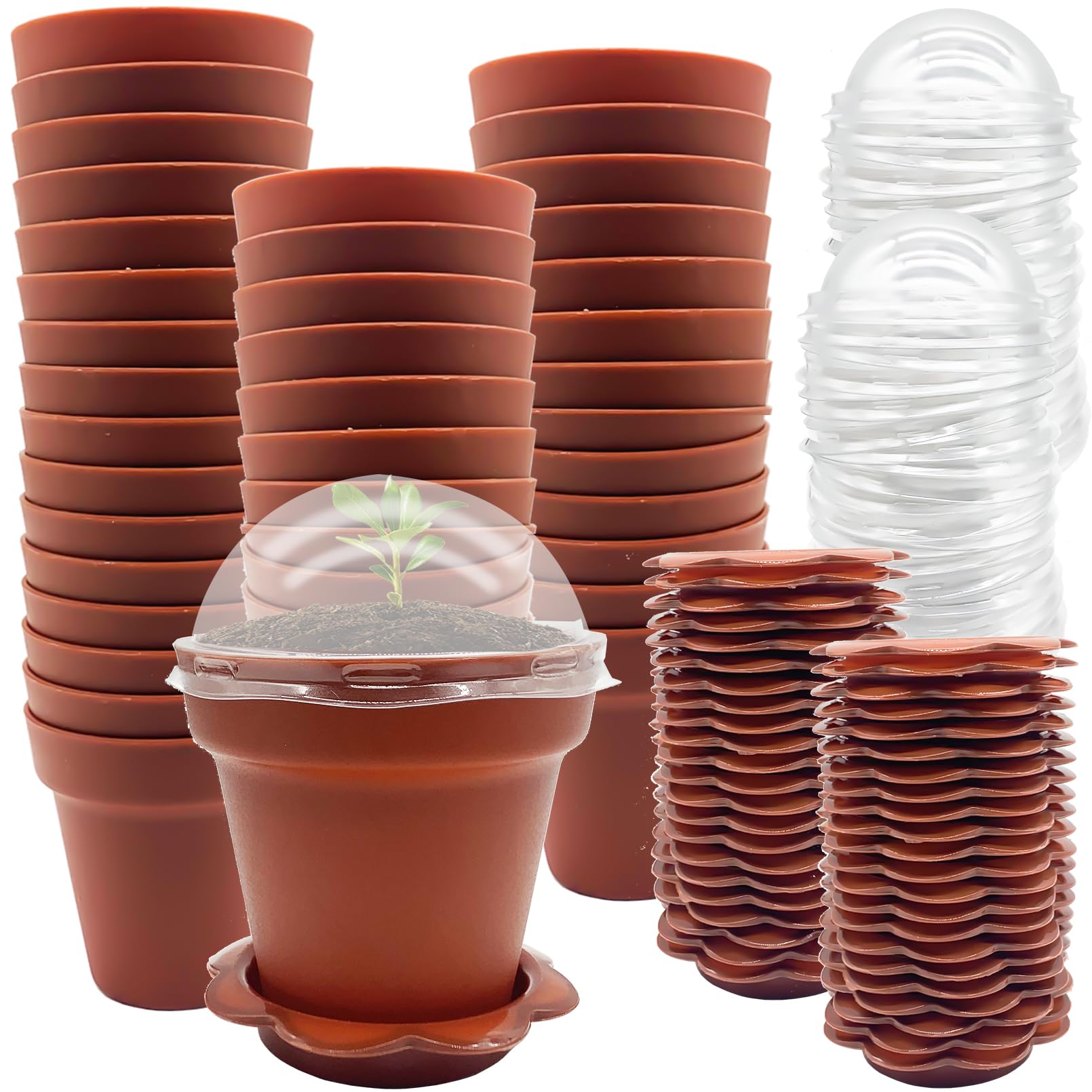 PURPLE STAR 1N cupcake pots with humidity dome for seedling monitoring and moisture control.