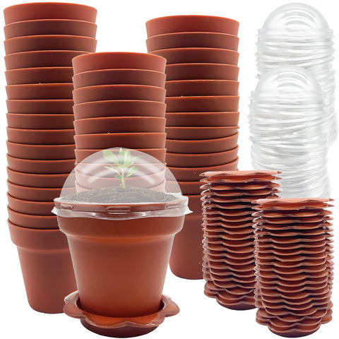 PURPLE STAR 1N cupcake pots with humidity dome for seedling monitoring and moisture control.