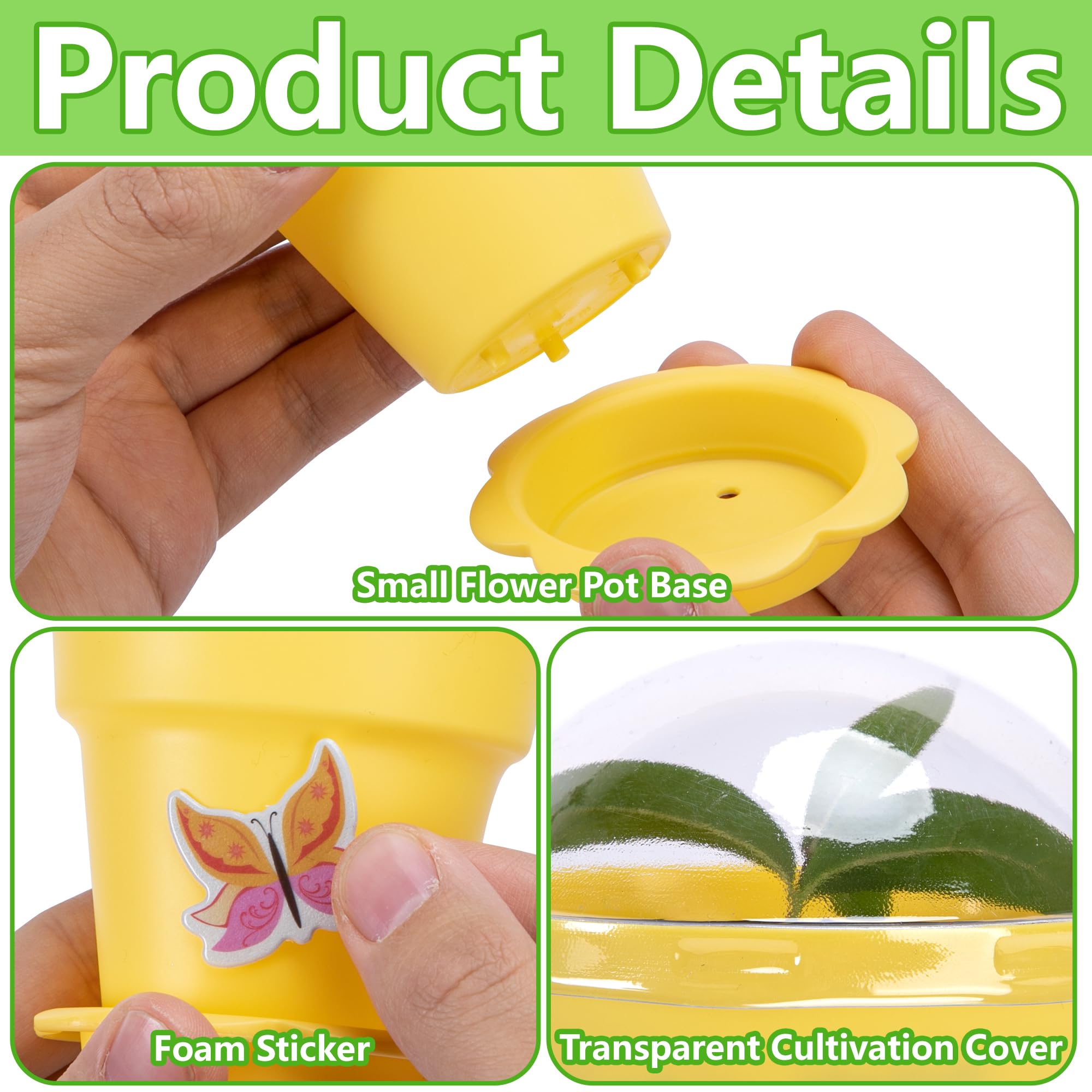 Purple Star 1N detachable tray facilitating clean pot movement