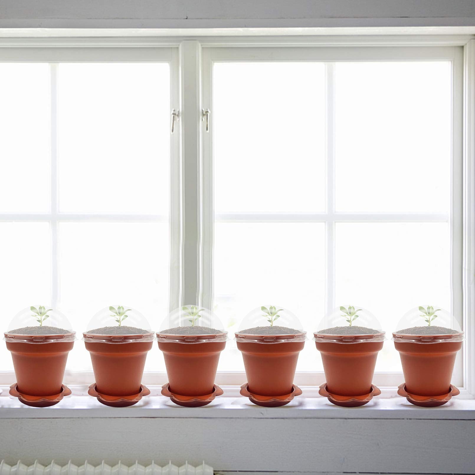 PURPLE STAR 1N durable plastic pot designed for repeated use