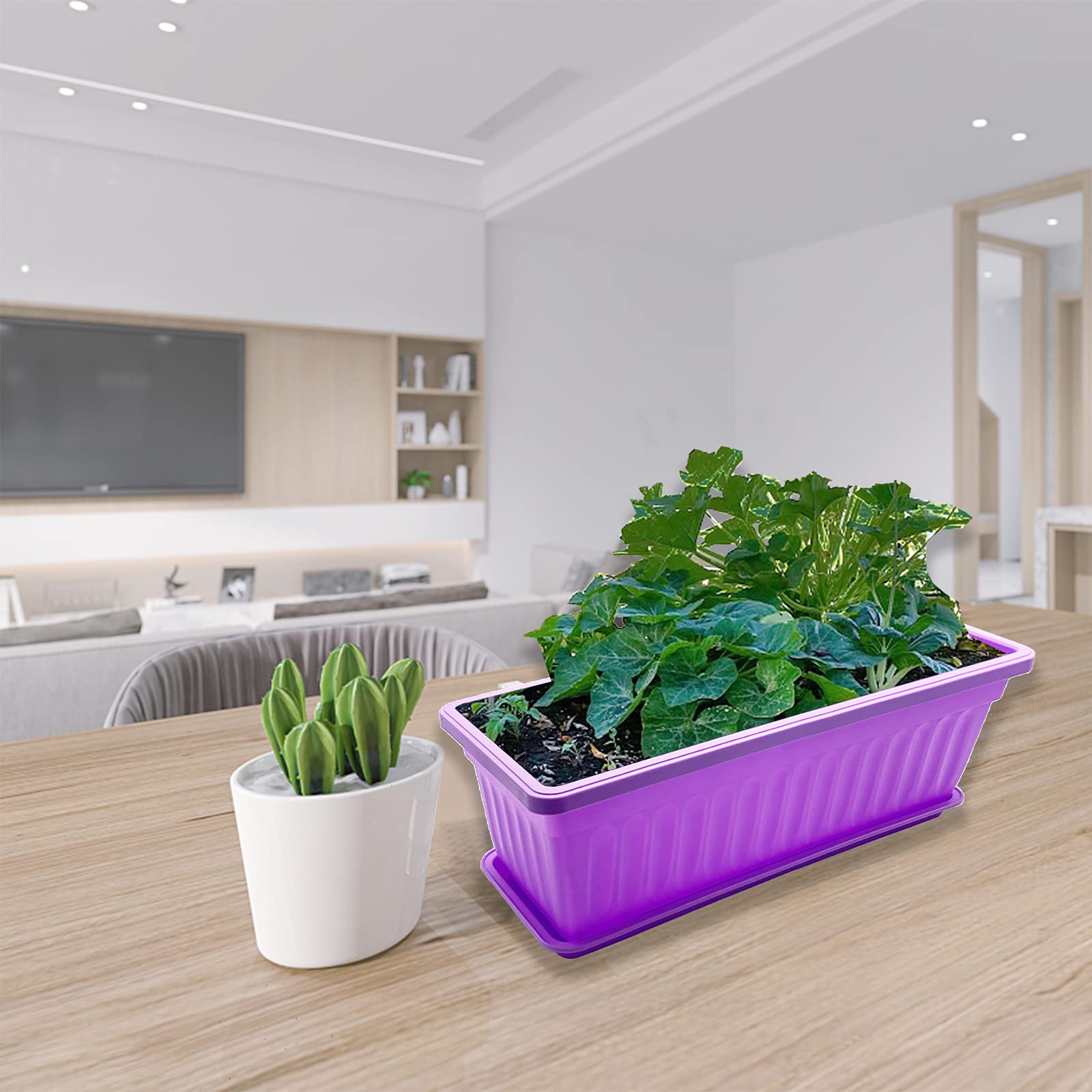 Purple Star 1N easy-to-move trays simplify watering and maintenance tasks.