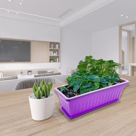 Purple Star 1N easy-to-move trays simplify watering and maintenance tasks.