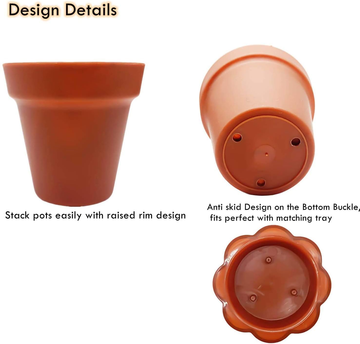 PURPLE STAR 1N clear humidity dome lid for growth observation while preserving moisture.