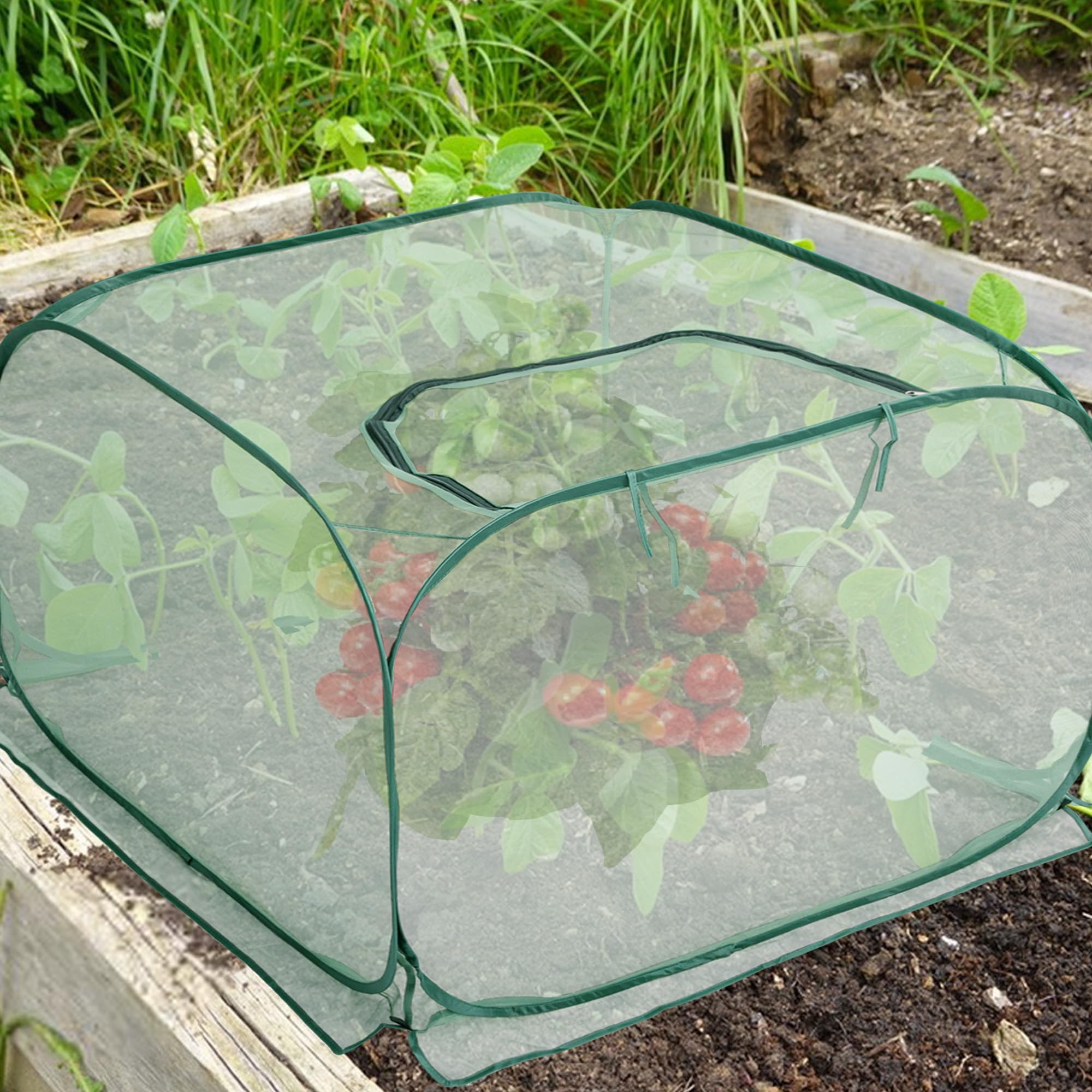 PURPLE STAR 1N large 35x35x27.5 inch cover fits most plants