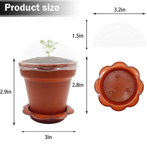 PURPLE STAR 1N lid and tray set supports organized seed starting and cleanup.