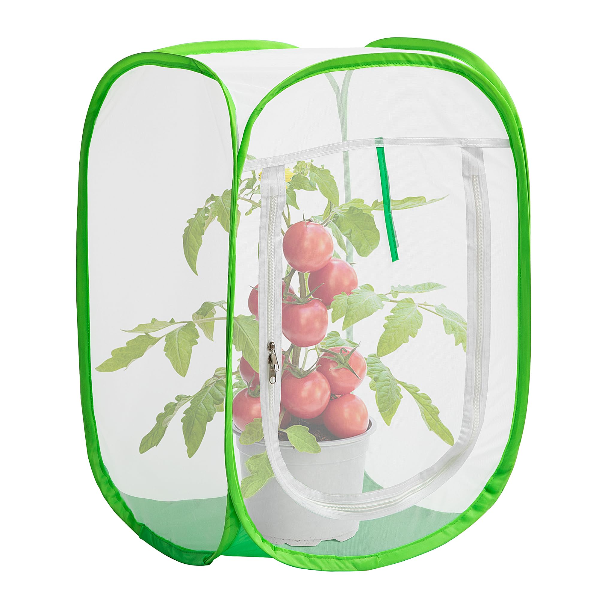 Purple Star 1N pop-up garden cover protects plants from birds while letting sunlight through.