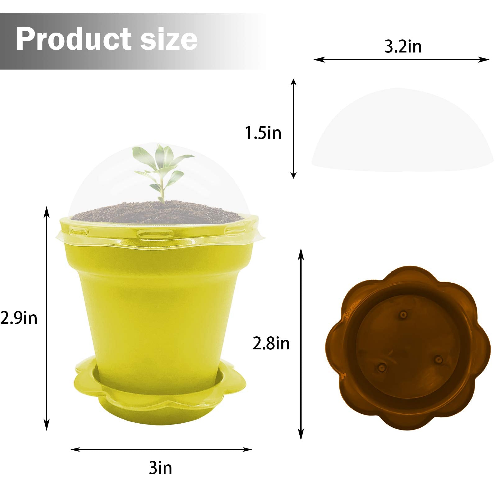 PURPLE STAR 1N pot tray base prevents spills and keeps surfaces clean