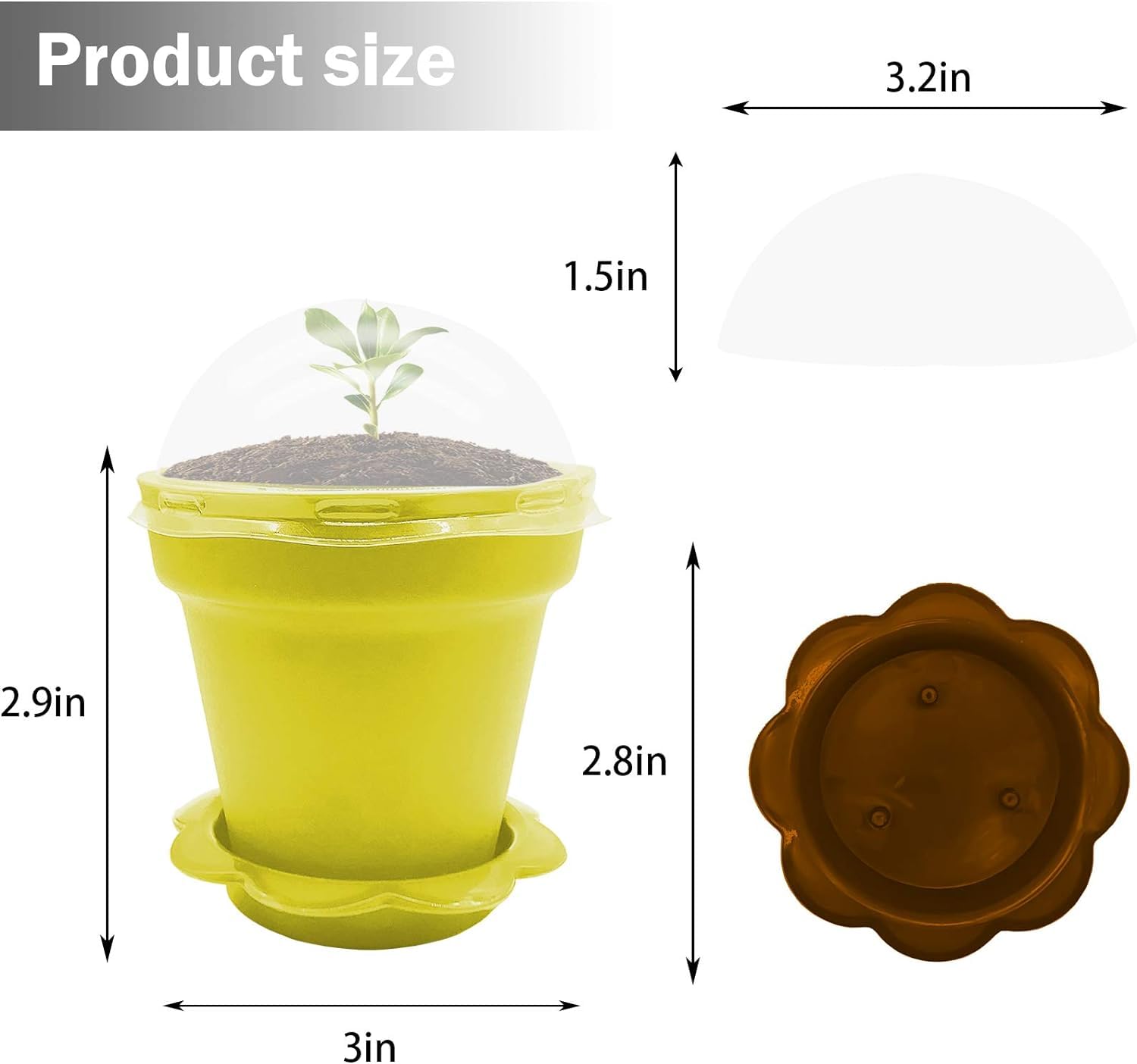 Purple Star 1N plant pot tray with non-slip base keeps workspace tidy