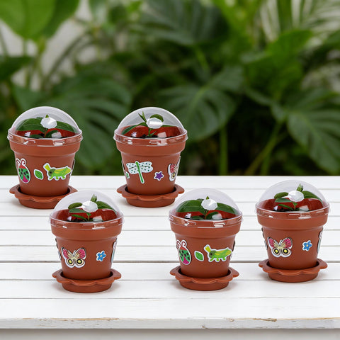 Purple Star 1N seedling-friendly container kit for starting cuttings.