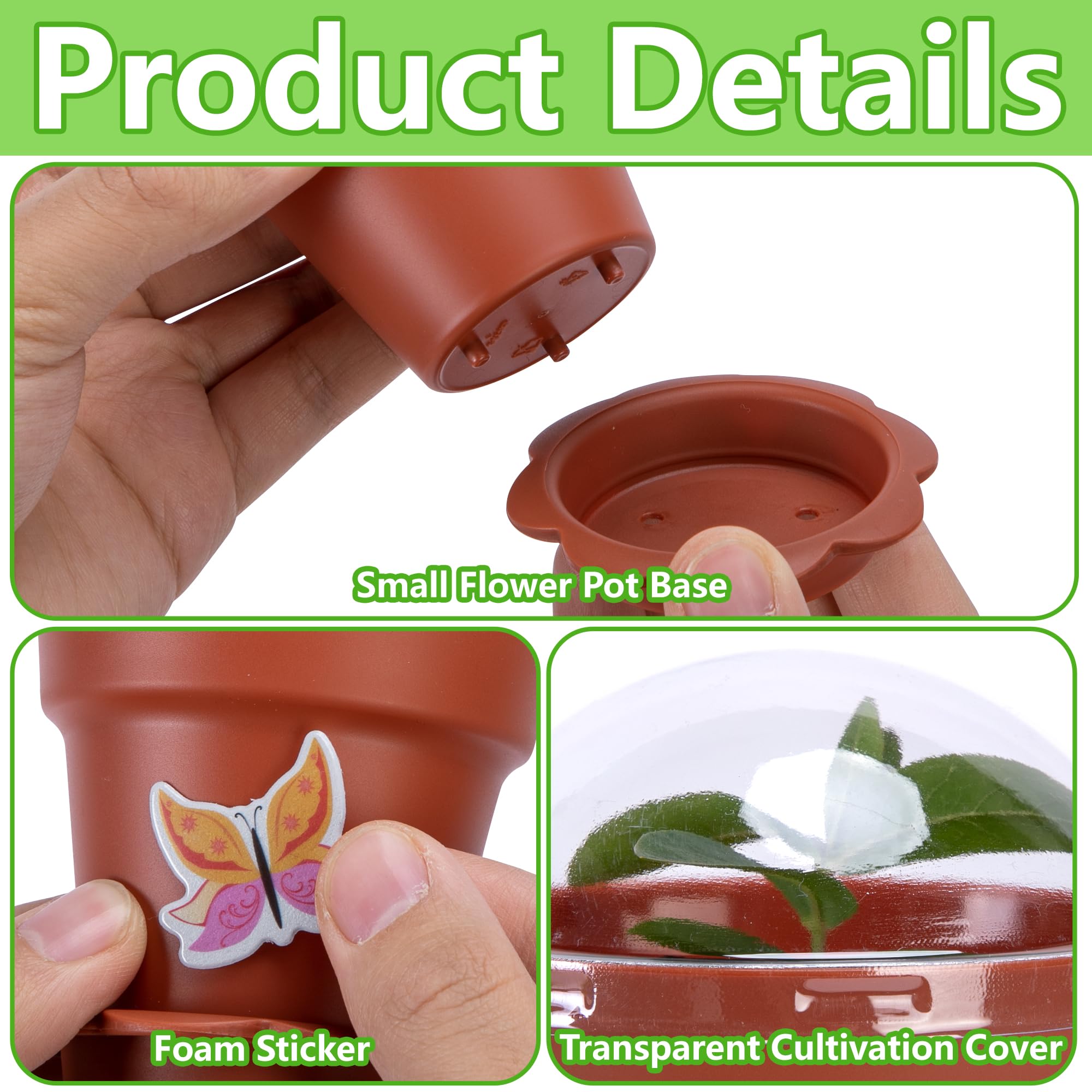 Purple Star 1N transparent humidity dome allows quick growth monitoring.