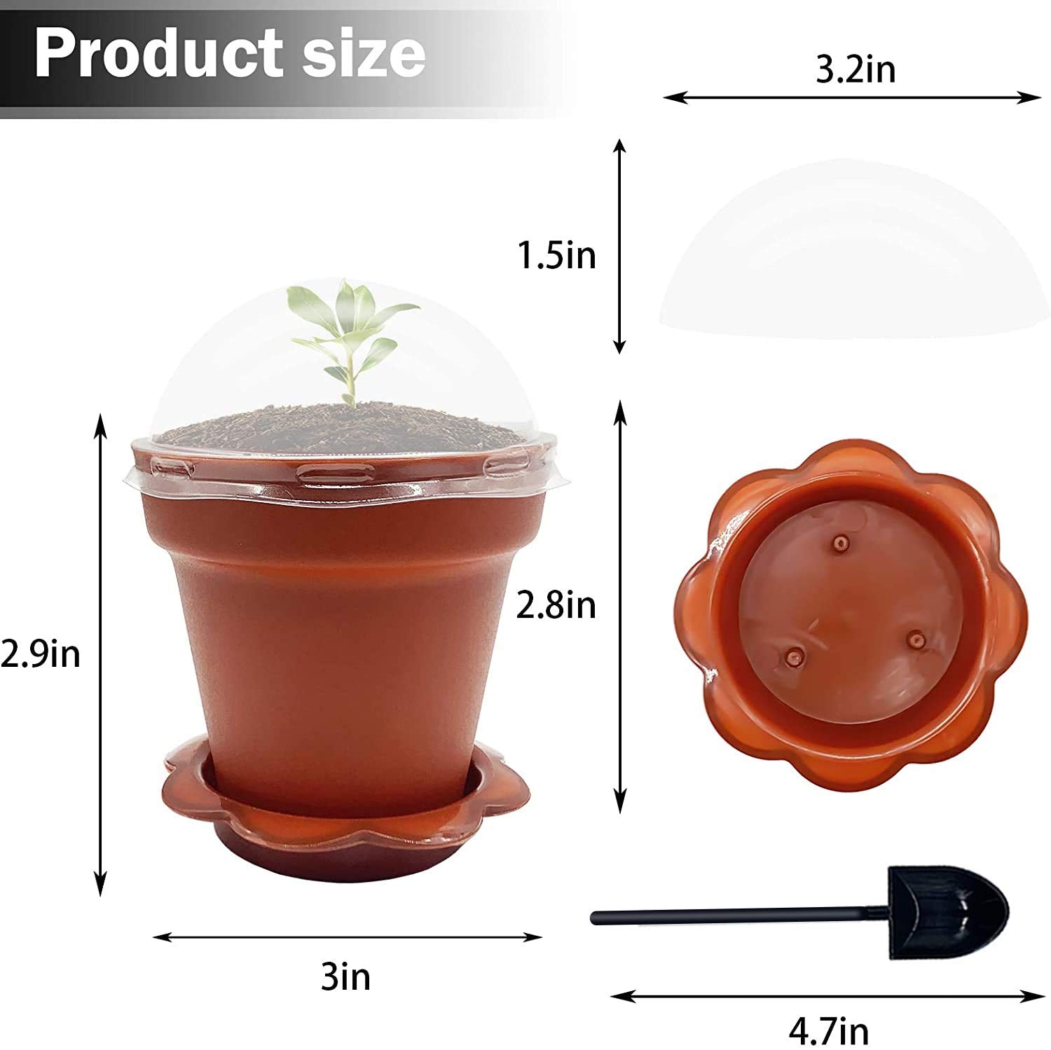 PURPLE STAR 1N transparent lid lets you watch growth without lifting