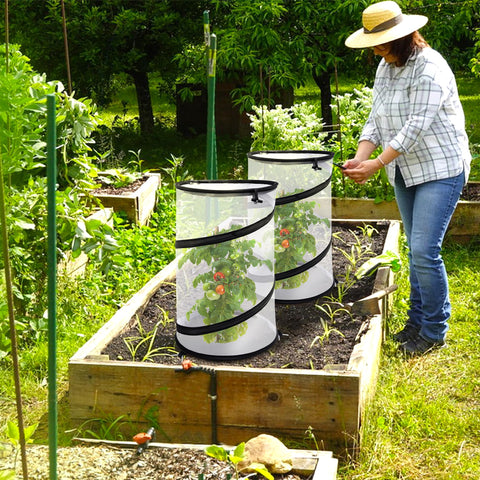 Purple Star 1N round mesh cage protects crops from birds and insects.