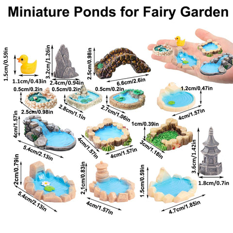 Purple Star mini pond creates charming micro scenes in terrariums