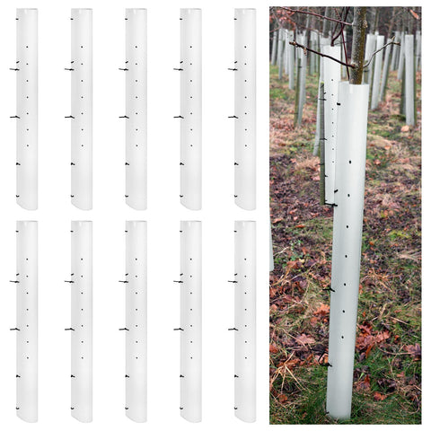Pushglossy 10-pack tree grow tubes shielding seedlings outdoors for healthy growth.
