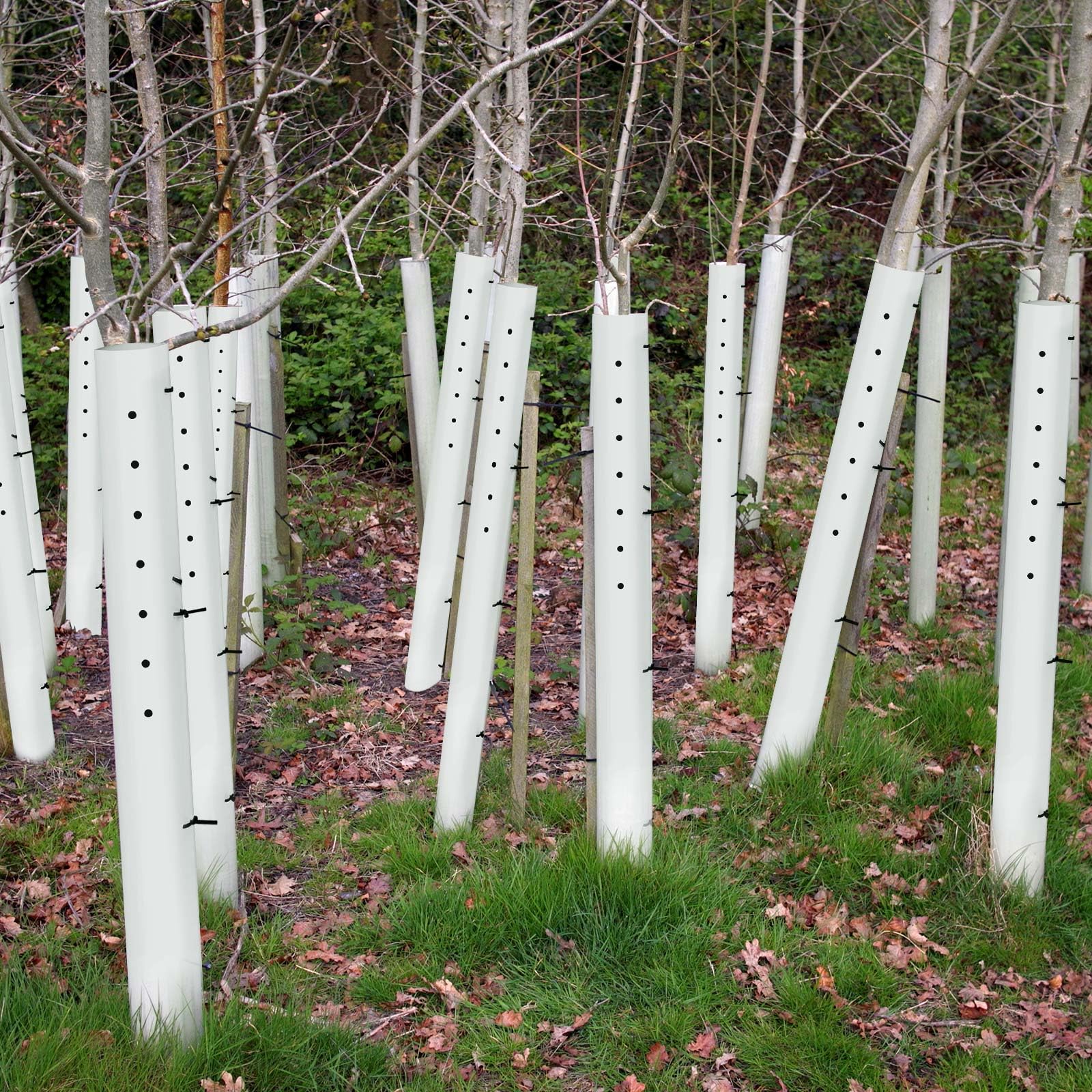 Pushglossy 48-inch tree grow tube highlighting durable, long-lasting seedling shelter.