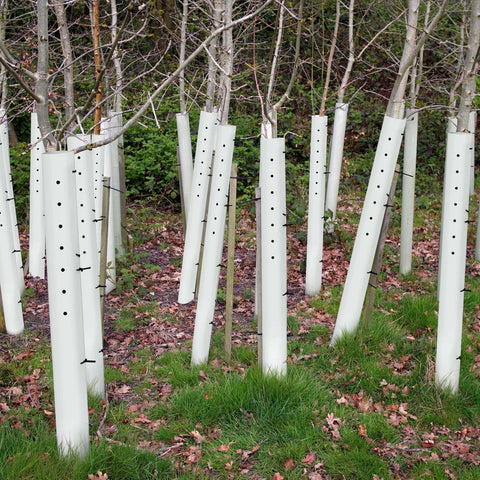 Pushglossy 48-inch tree grow tube highlighting durable, long-lasting seedling shelter.