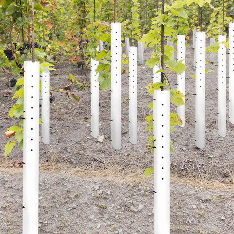 Pushglossy durable polyethylene grow tube withstands sunlight and weather.