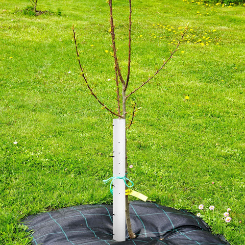 Pushglossy UV-stable, durable seedling protector for multi-season use.
