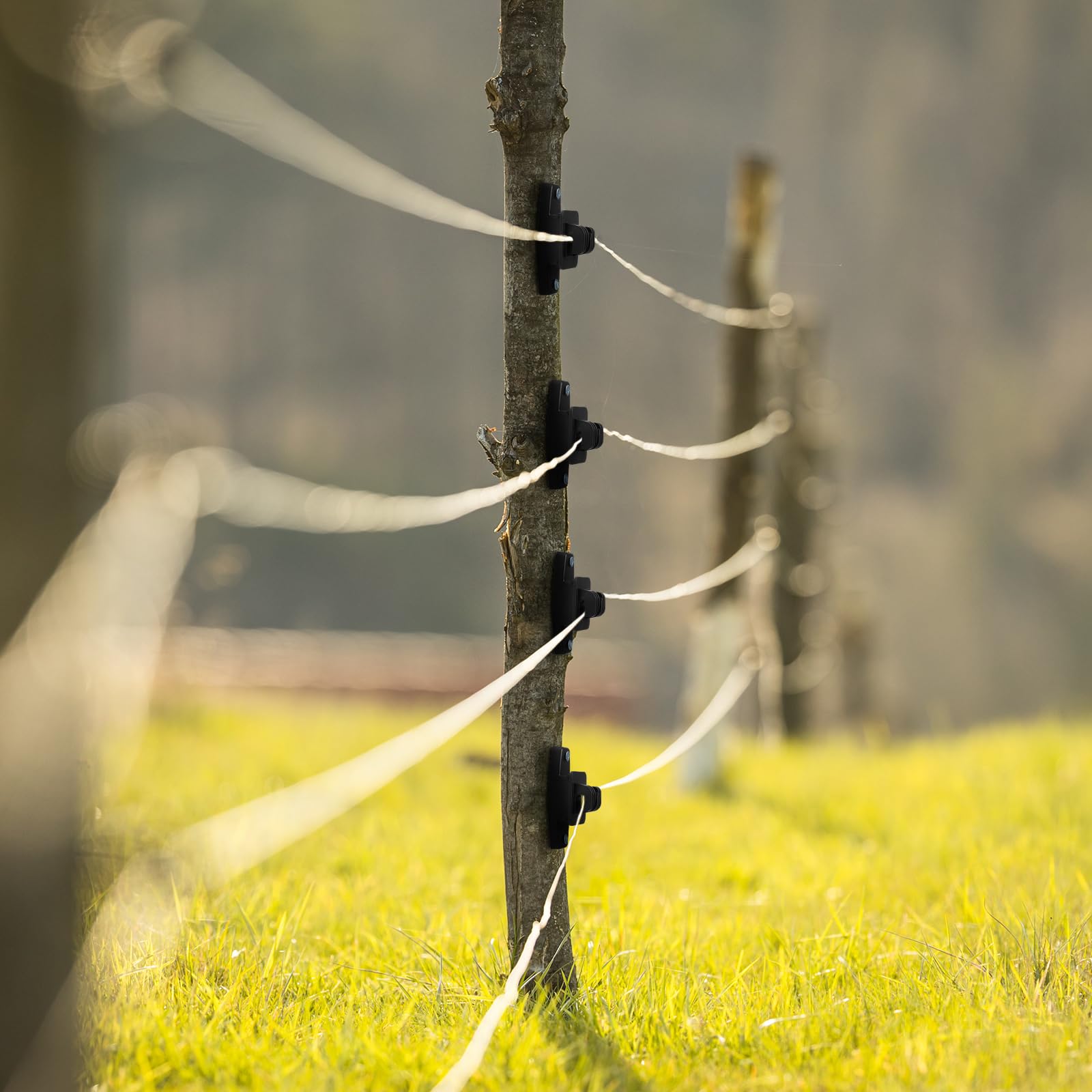 Pushglossy fence line installation example with multiple lines