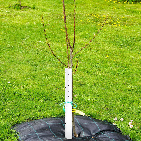 Pushglossy outdoor garden use tube protects seedlings from sun and pests
