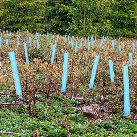 Pushglossy ten-pack gardening value boosts efficiency and cost-effectiveness.