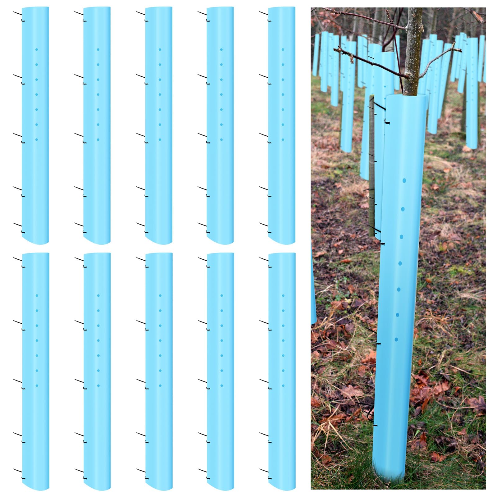 Pushglossy tree-tube-blue-48in shields seedlings for steady growth and reduced transplant shock.