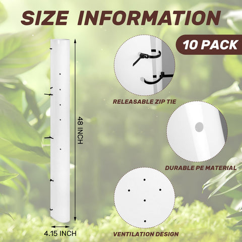 Pushglossy vented seedling protector tube ensuring airflow for young trees.