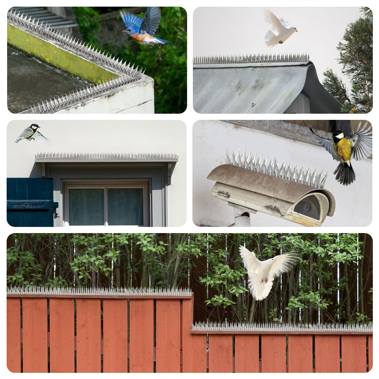 Puthpy Bird Spikes fence garden use provides durable outdoor protection