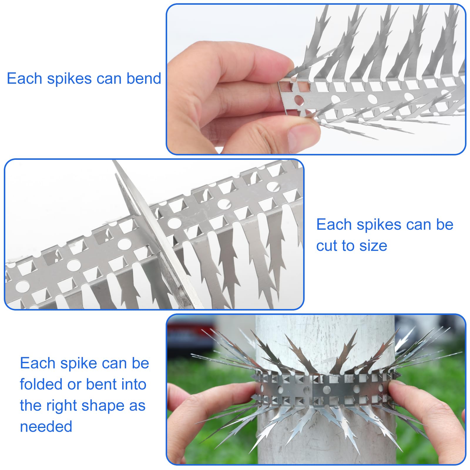 Puthpy spikes installed on roof edge to reduce bird droppings
