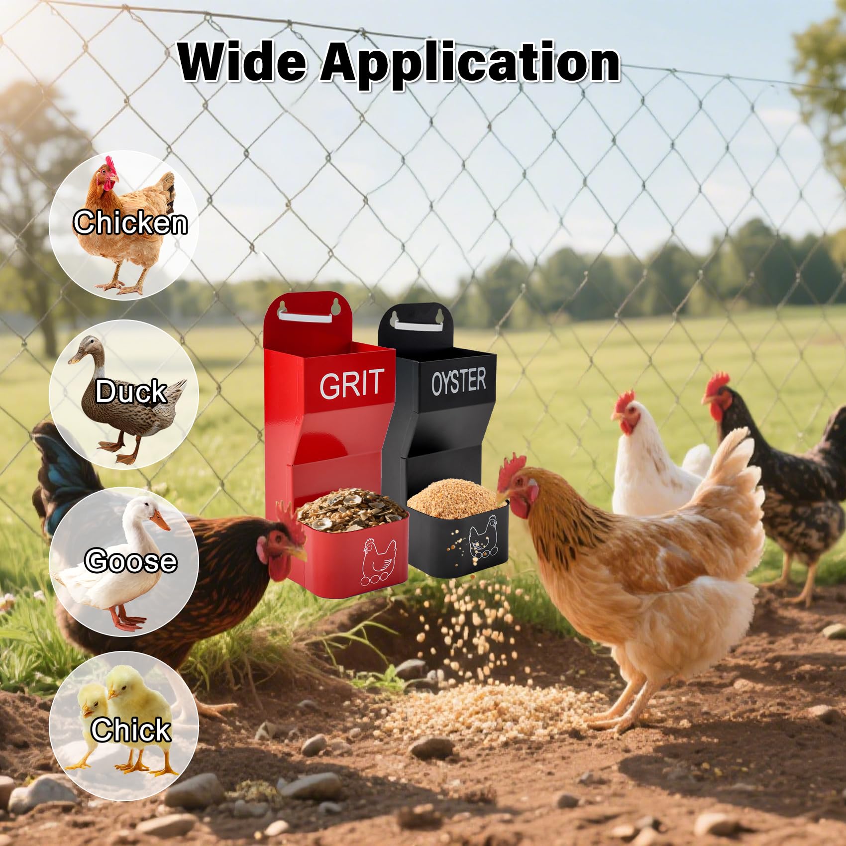Puxaajao oyster-shell and grit dispenser supports egg-laying nutrition.