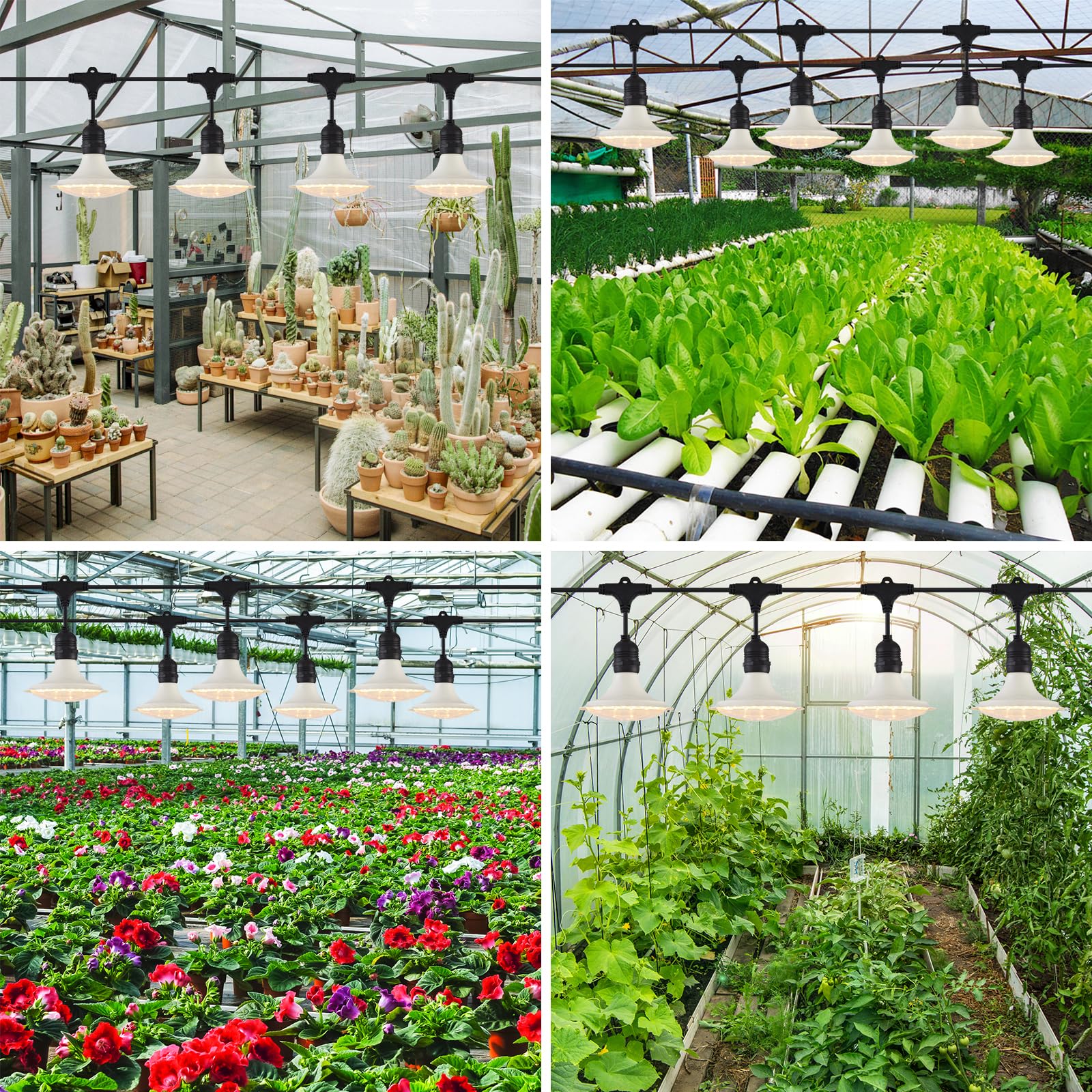 PuxiGrow greenhouse plants lit at night showing ambient growth-friendly illumination