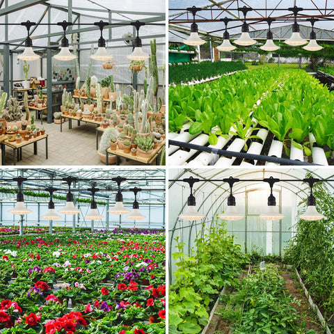PuxiGrow greenhouse plants lit at night showing ambient growth-friendly illumination