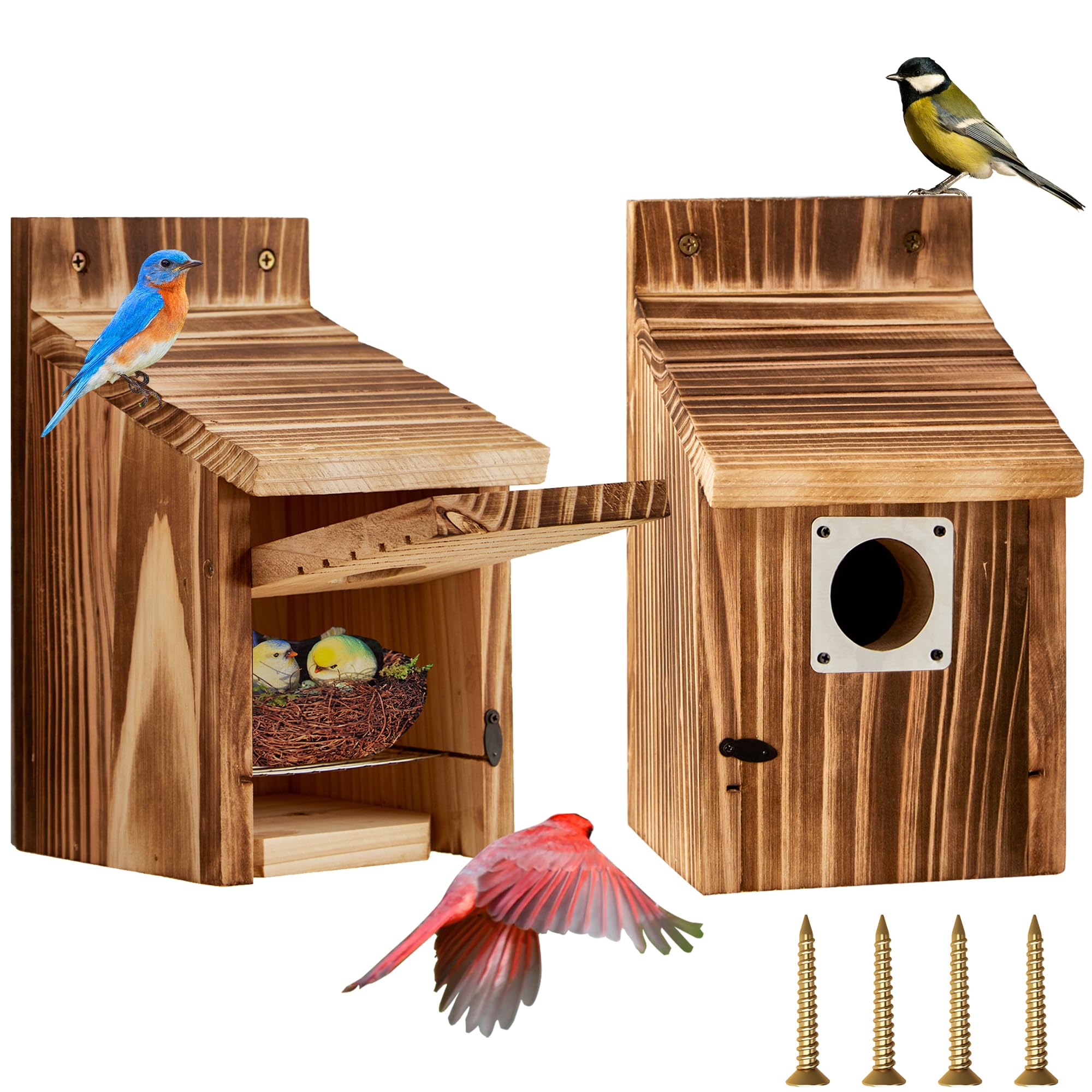 Puyikes bird house front view showing carbonized cedar for weather resistance