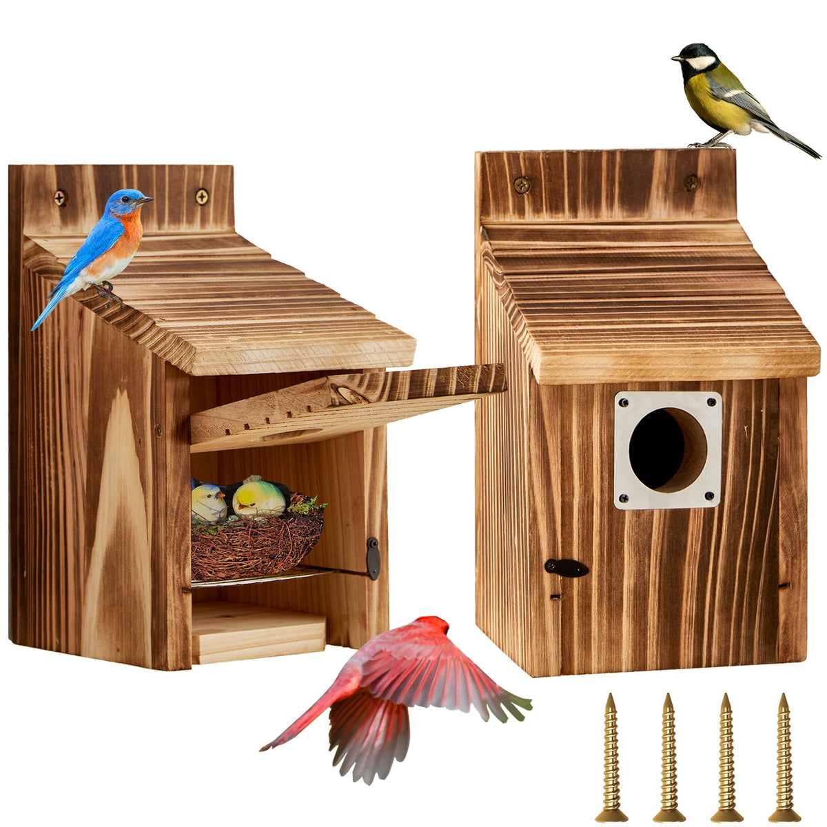 Puyikes bird house front view showing carbonized cedar for weather resistance