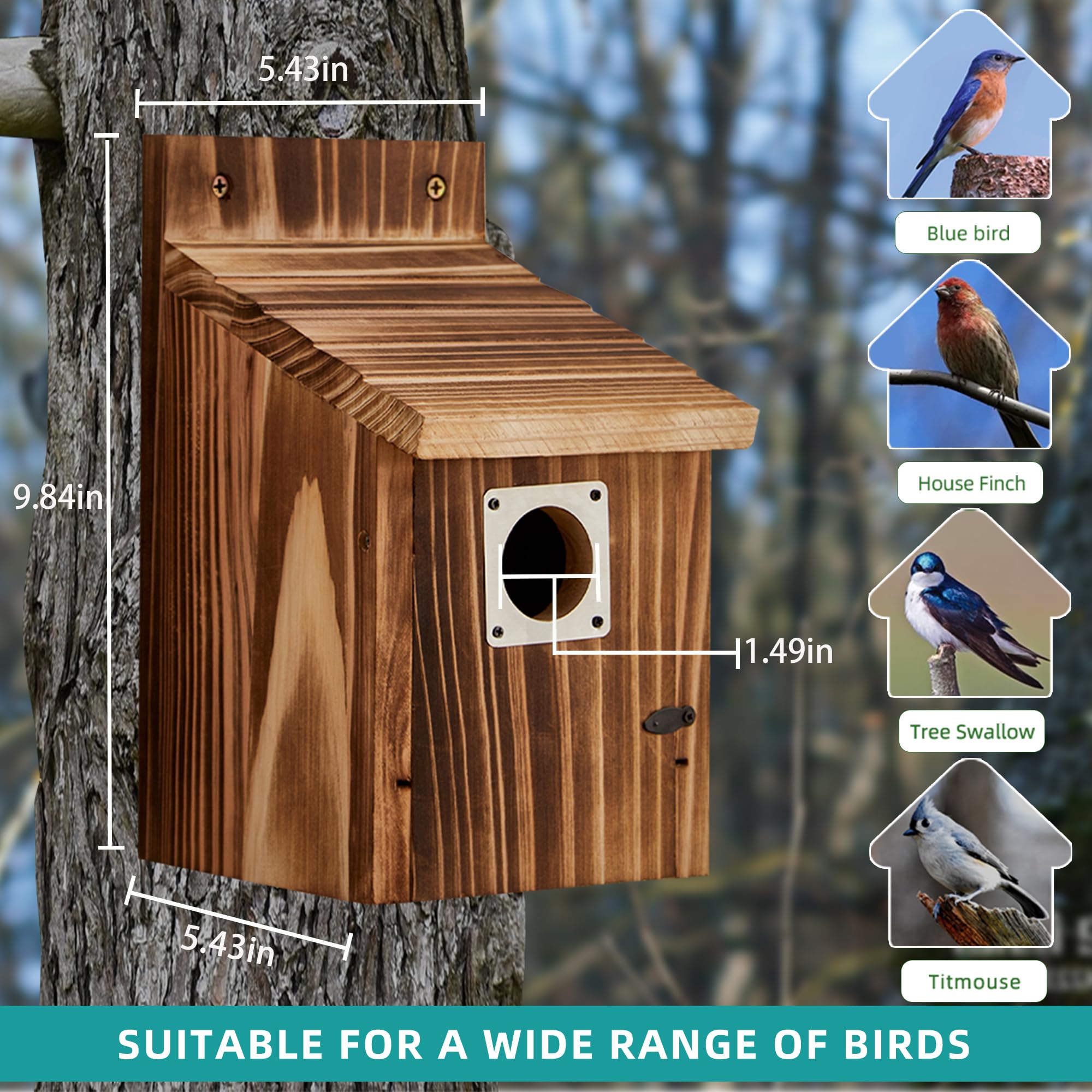 Puyikes bird house copper predator guard close-up protecting fledglings