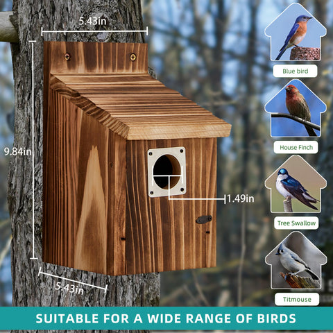 Puyikes bird house copper predator guard close-up protecting fledglings