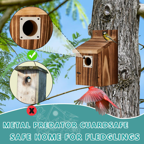 Puyikes bird house side view highlighting durable cedar and weatherproof finish