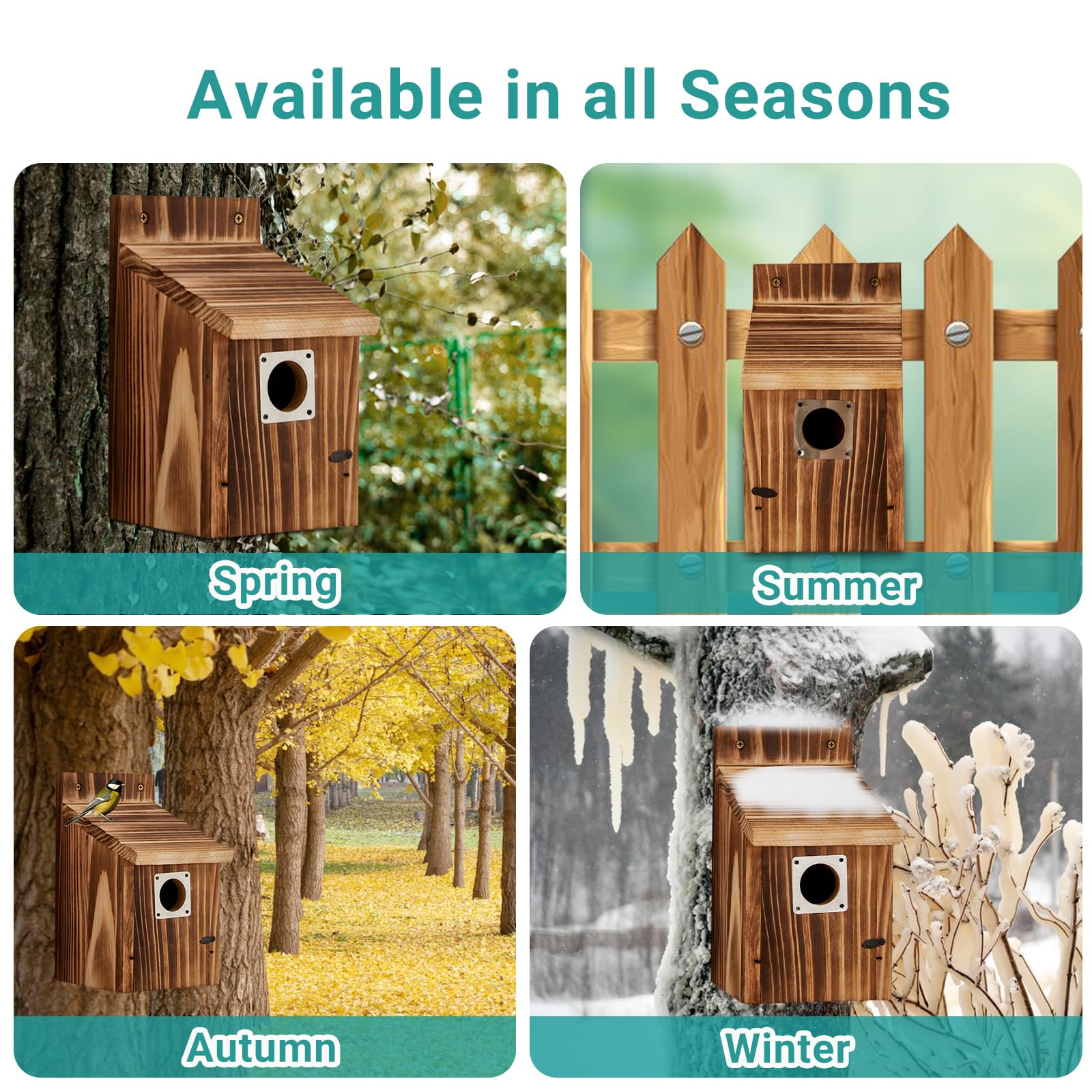 Puyikes bird house mounted on tree or fence for outdoor placement