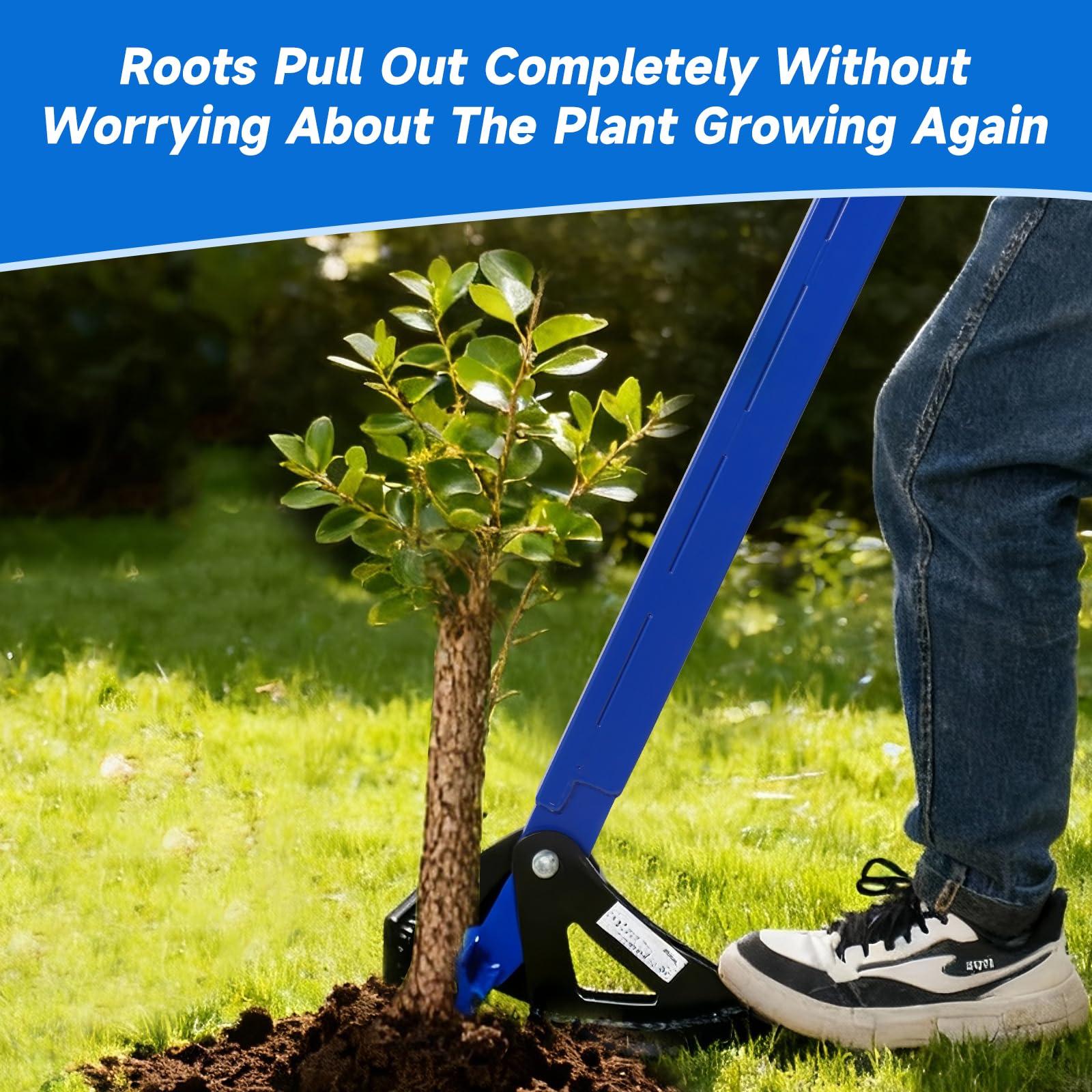 Pvirbravoo Sapling Puller Tool steel construction emphasizes durability for tough soil.