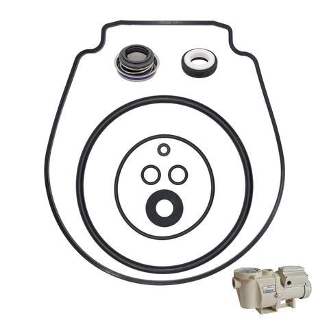 PWBBDSC PS-1000 shaft seal for 2008+ Pentair pumps ensures durable, leak-resistant sealing