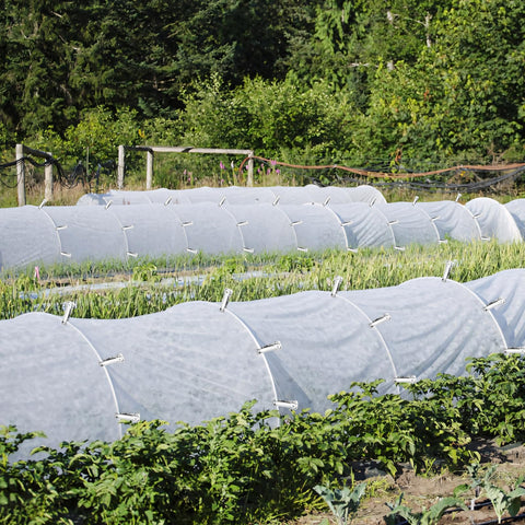 Pwfkgo heavy-duty clip secures films and mulches against wind