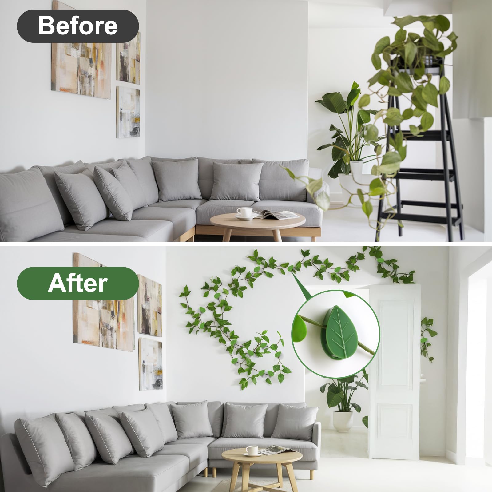 Pwfkgo vine support system helps guide plant growth indoors gracefully