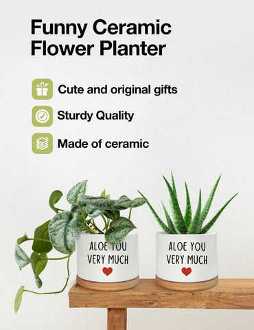 PWHINGN geometric decor planter adds modern charm to any room.