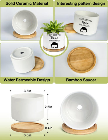 PWHINGN geometric porcelain planter adds modern decor to any room