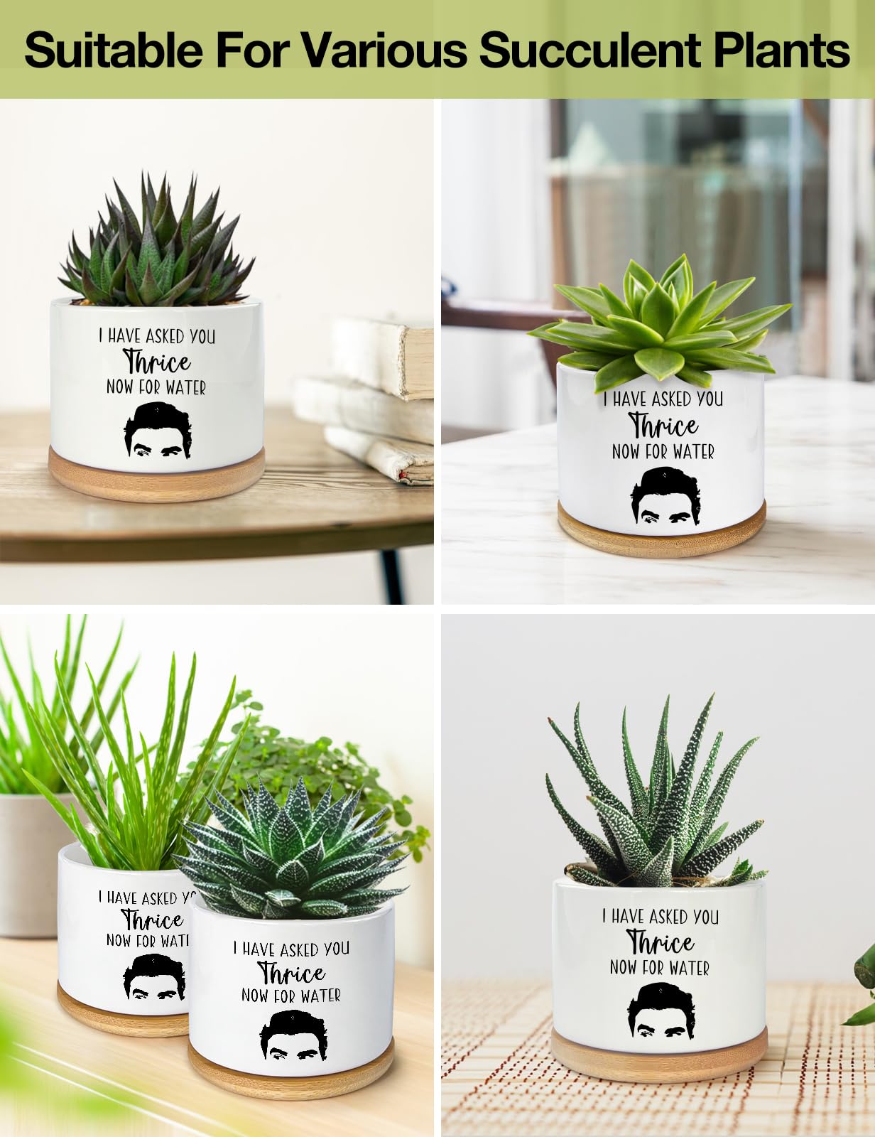 PWHINGN gift-ready ceramic planter ideal for plant lovers and home desks