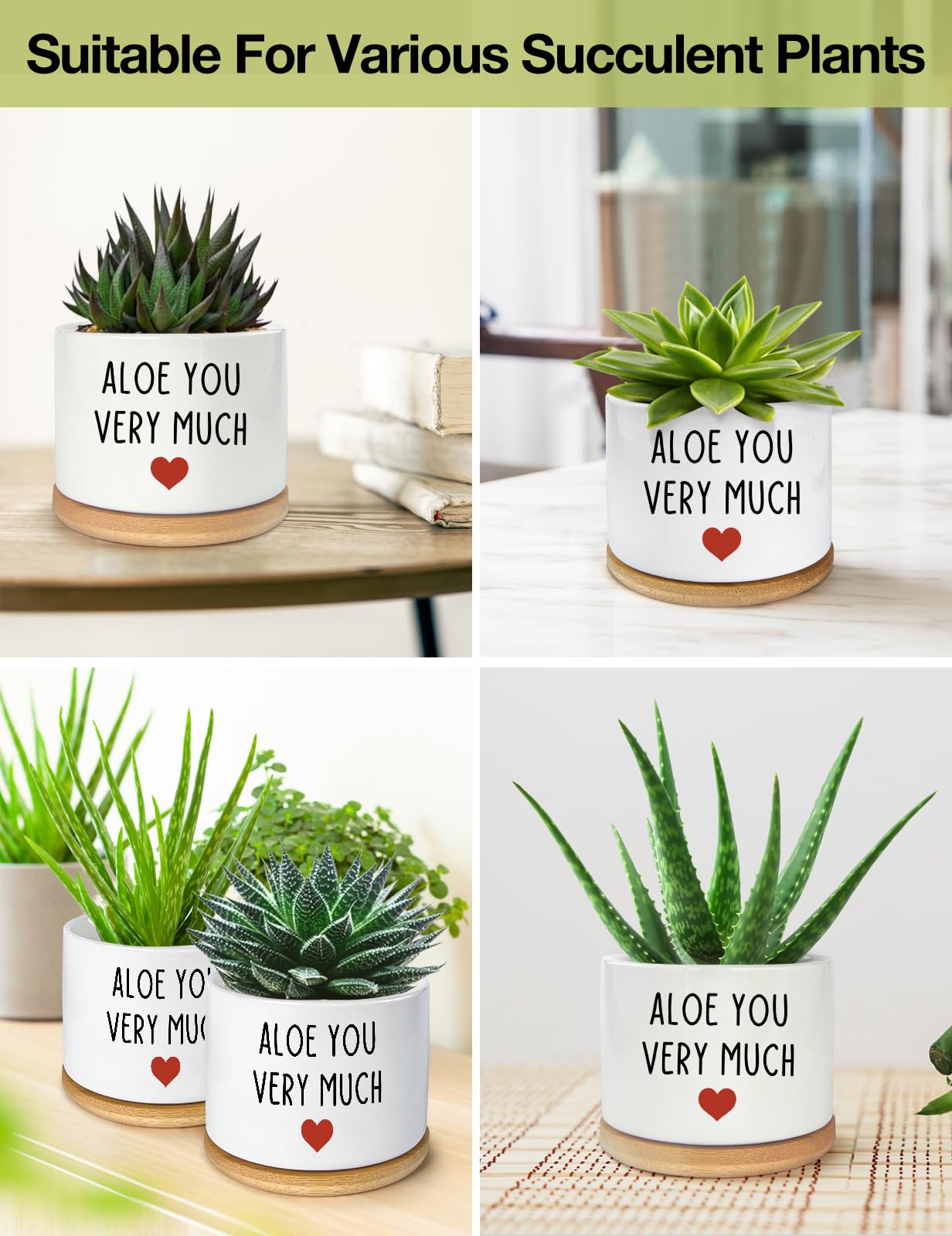 PWHINGN gift-ready packaging ideal for plant lovers.