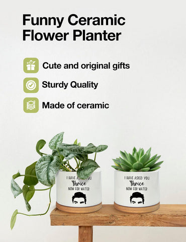 PWHINGN succulent pot not included with plant for customizable styling