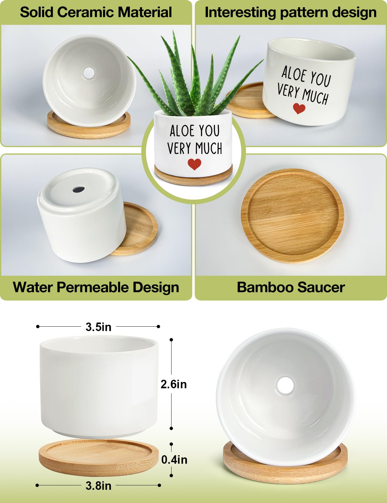 PWHINGN succulent pot with drainage hole promotes healthy roots.