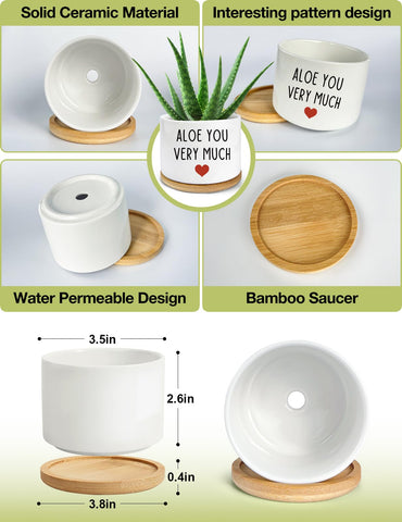 PWHINGN succulent pot with drainage hole promotes healthy roots.
